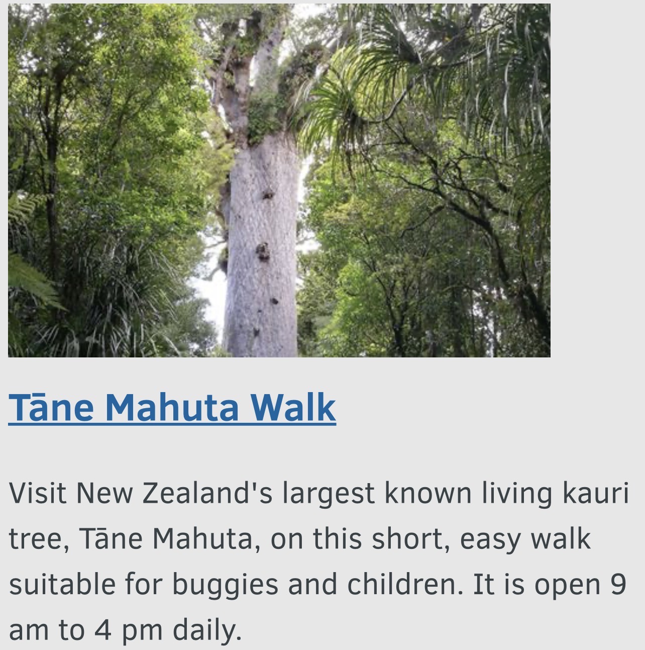 Tāne Mahuta