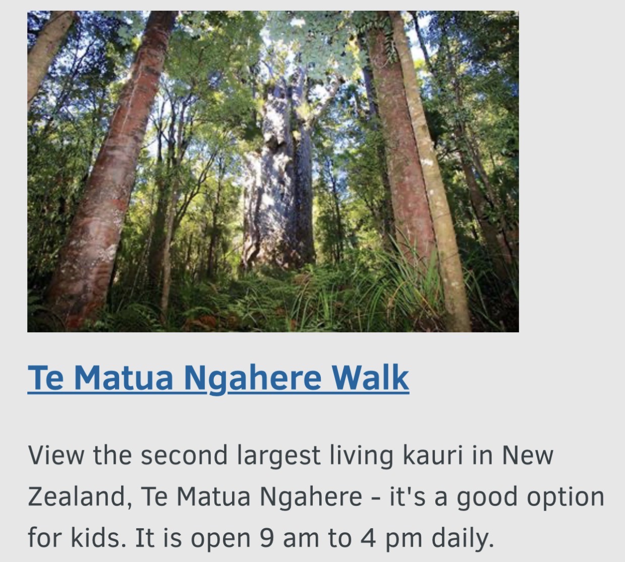 Te Matua Ngahere
